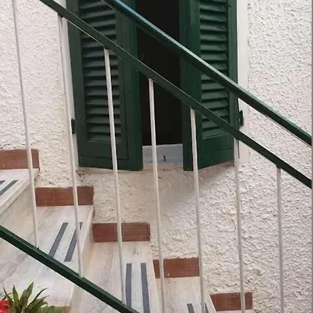 Anselmi مارتْشانا مارينا