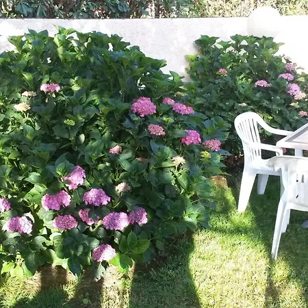 Anselmi 2* مارتْشانا مارينا